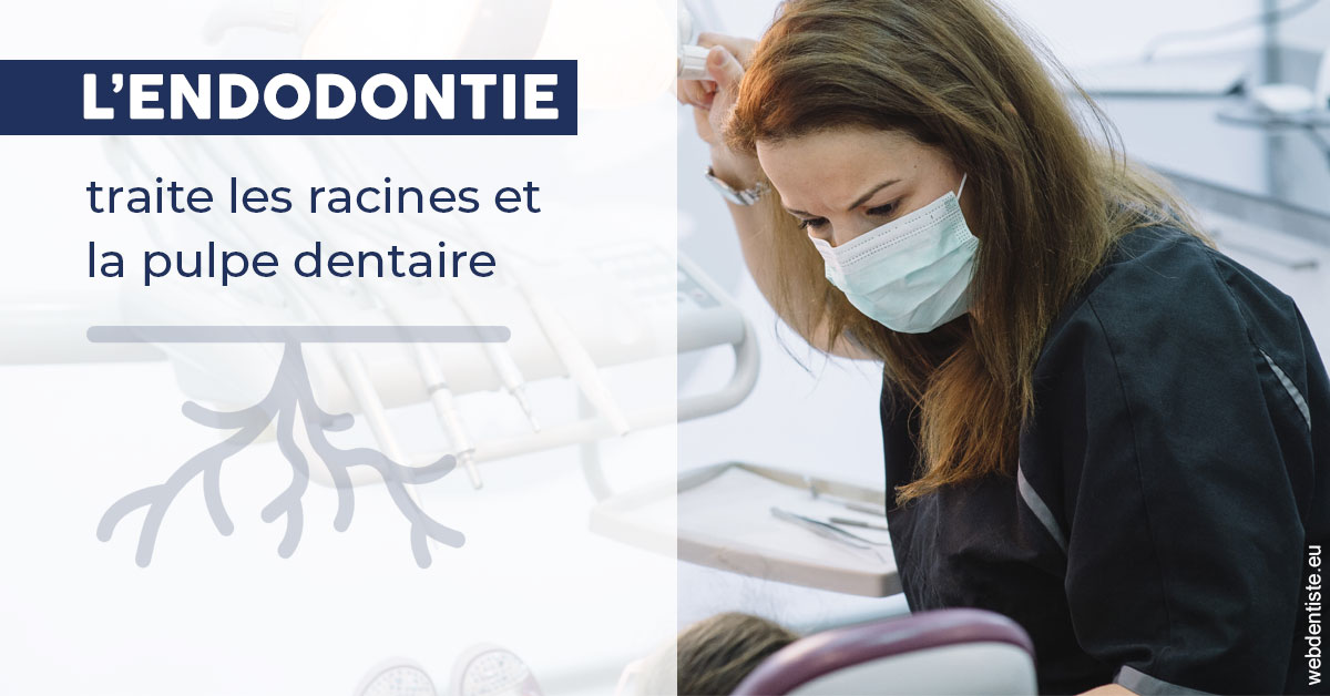 https://dr-pignot-jean-pierre.chirurgiens-dentistes.fr/L'endodontie 1