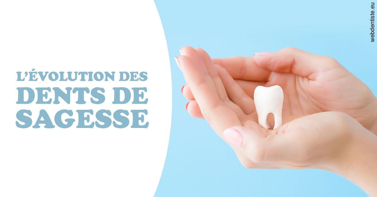 https://dr-pignot-jean-pierre.chirurgiens-dentistes.fr/Evolution dents de sagesse 1