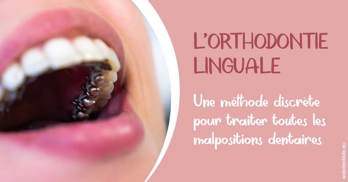 https://dr-pignot-jean-pierre.chirurgiens-dentistes.fr/L'orthodontie linguale 2