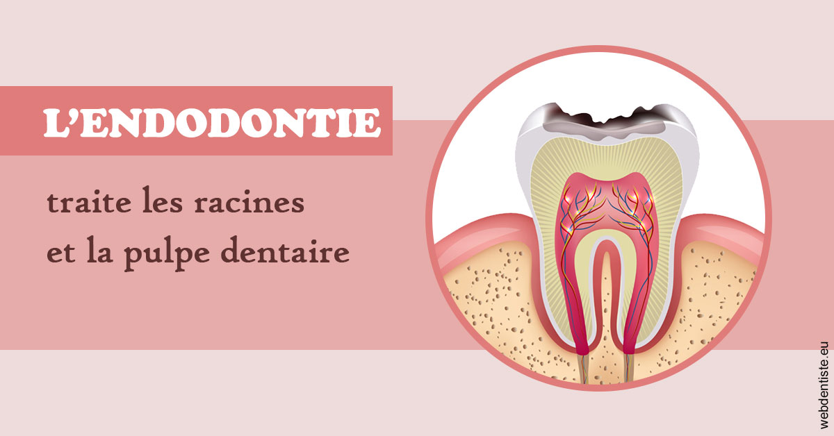 https://dr-pignot-jean-pierre.chirurgiens-dentistes.fr/L'endodontie 2
