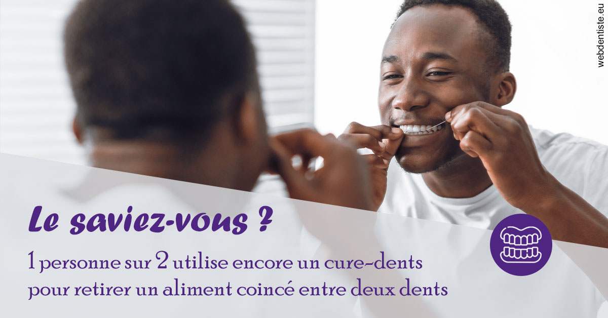 https://dr-pignot-jean-pierre.chirurgiens-dentistes.fr/Cure-dents 2