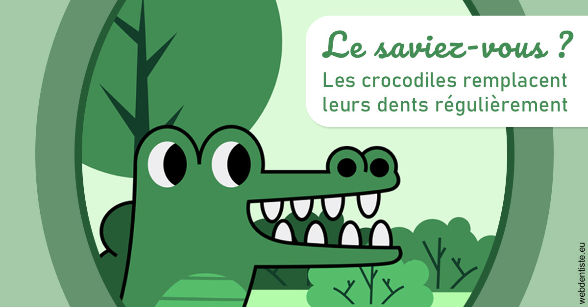 https://dr-pignot-jean-pierre.chirurgiens-dentistes.fr/Crocodiles 2